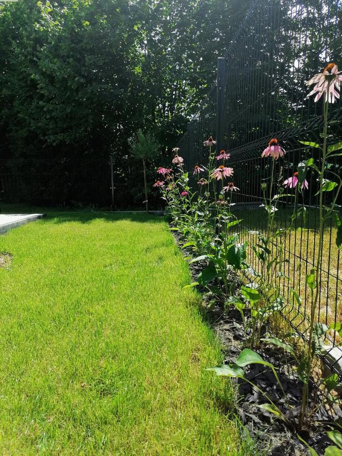 Apartament Apartament nad strumykiem! - Dream Apart Ustroń Zewnętrze zdjęcie